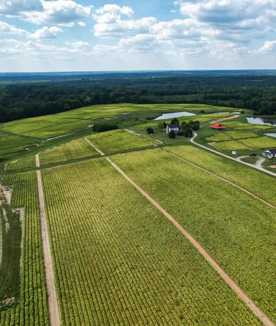 Farm landscape in North Carolina