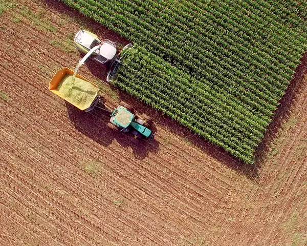 Tractor with attachment harvesting corn