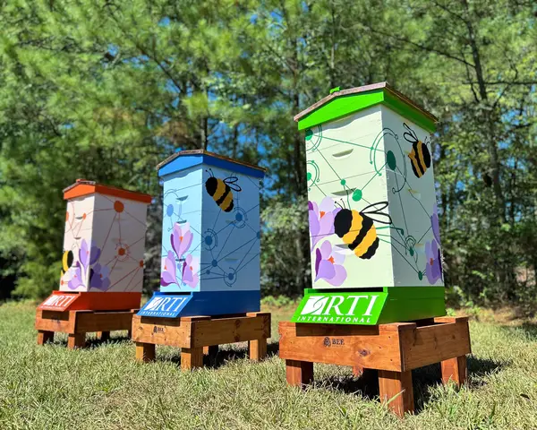 RTI's three bee hives. The hives are colored green, red, and blue