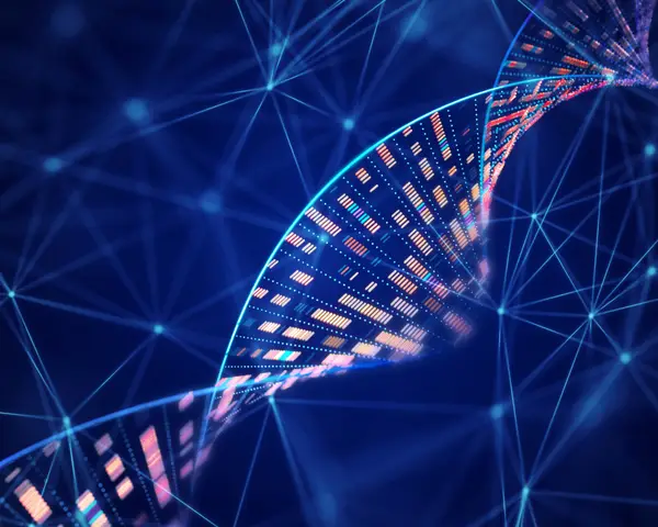 DNA double helix