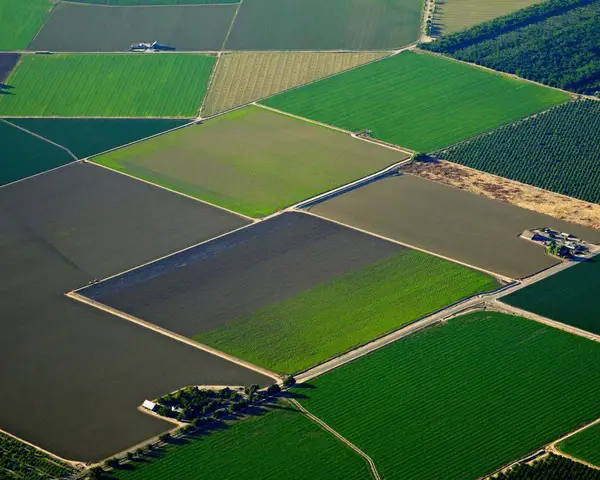 An aerial view of different crops growing in California's Central Valley.