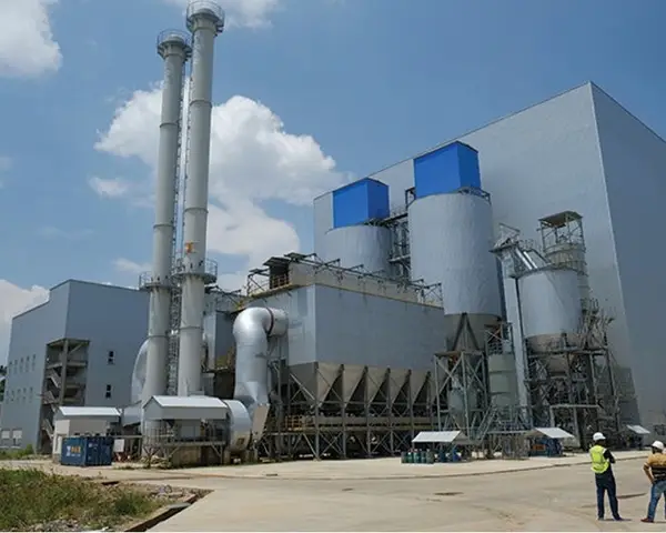 Reppie plant