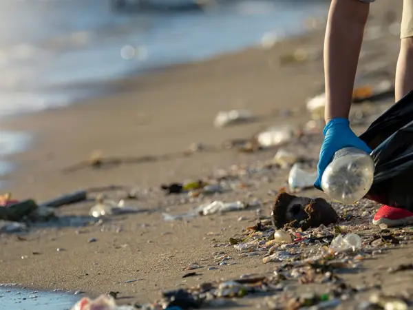 Person with gloves on picking up trash along the shoreline 
