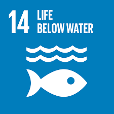 Navigate to Goal 14: Life Below Water